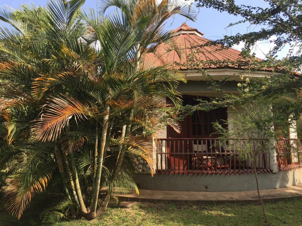 Planet Lodge Main image